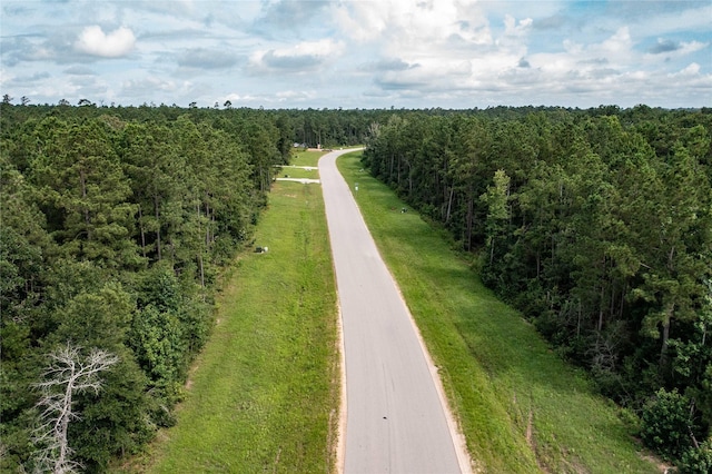 10775 Ruger Rd, Willis, TX 77378 - photo 7