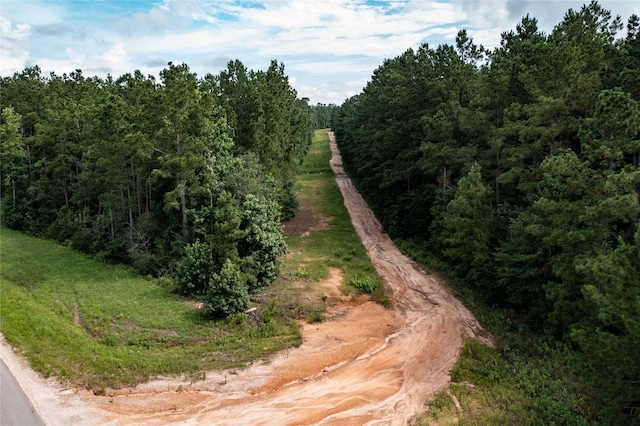 10775 Ruger Rd, Willis, TX 77378 - photo 6
