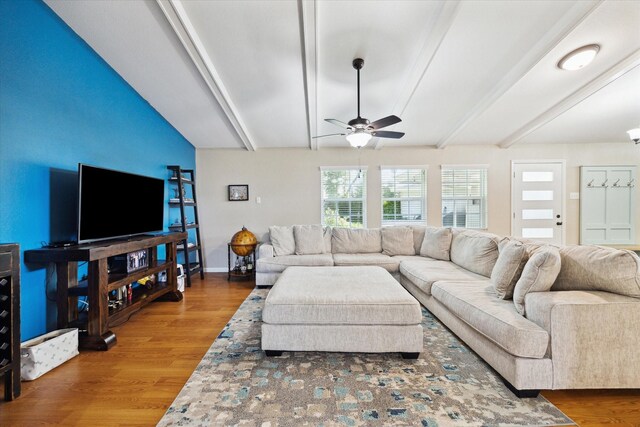 1515 Durango Dr, Houston, TX 77055