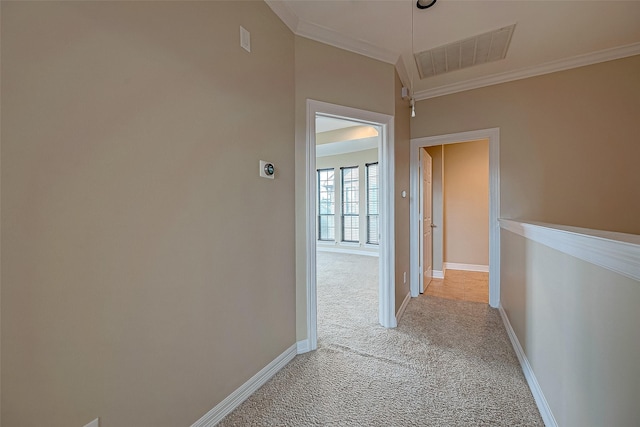5331 Nolda St Unit A, Houston, TX 77007 - corridor with light colored carpet and ornamental molding