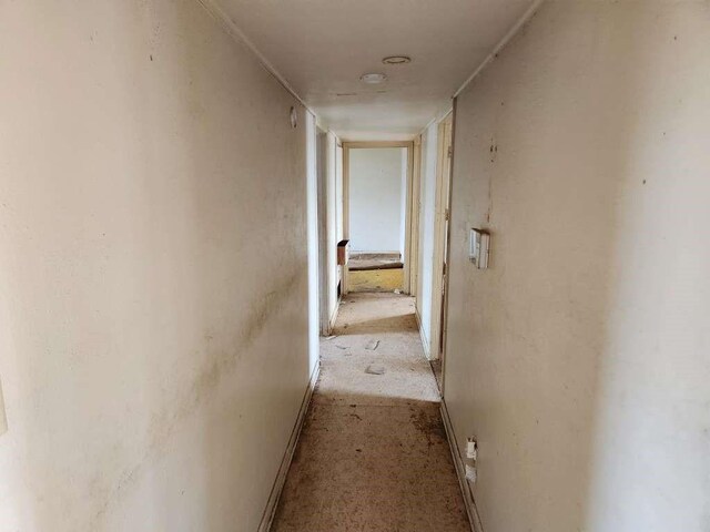 701 E Purdue St, Lubbock, TX 79403 - view of corridor