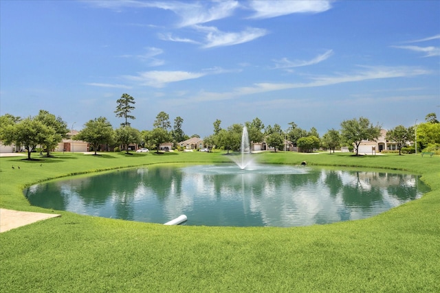 25207 Oak Star Dr, Spring, TX 77389 - water view