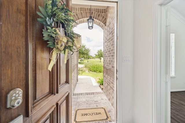 25207 Oak Star Dr, Spring, TX 77389 - foyer featuring plenty of natural light and wood finished floors
