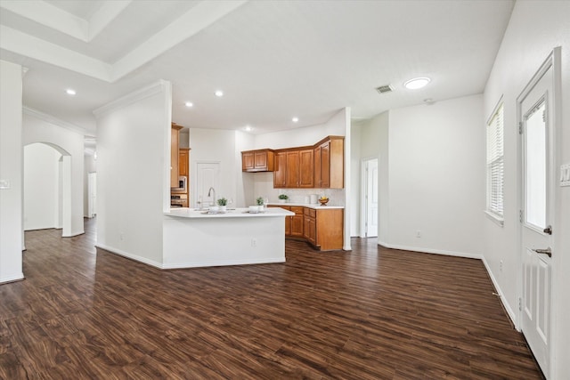 25207 Oak Star Dr, Spring, TX 77389 - kitchen featuring light countertops, dark wood-type flooring, brown cabinetry, decorative backsplash, and recessed lighting