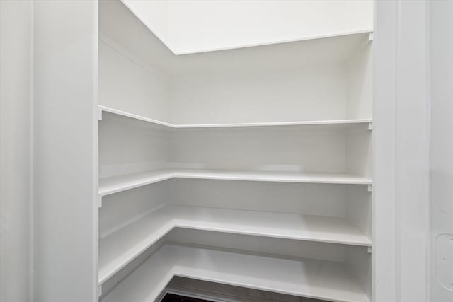 25207 Oak Star Dr, Spring, TX 77389 - view of pantry