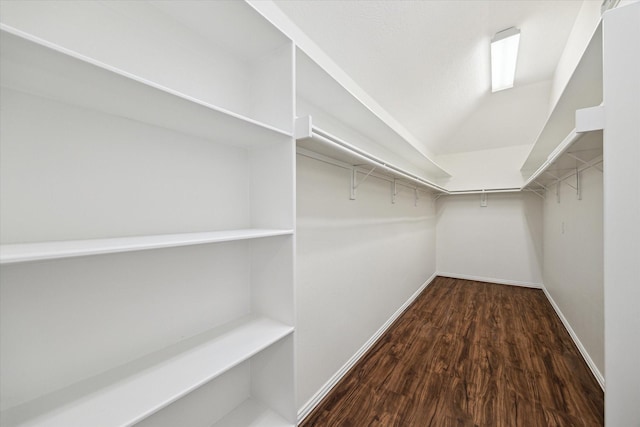 25207 Oak Star Dr, Spring, TX 77389 - spacious closet with wood finished floors