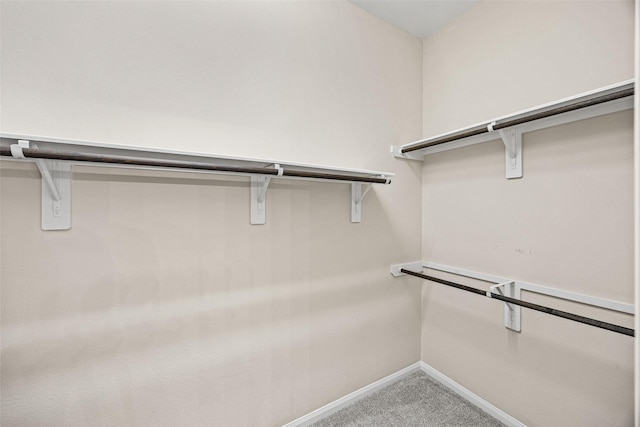 12314 Meadow Blossom Ln, Cypress, TX 77433 - spacious closet featuring carpet flooring