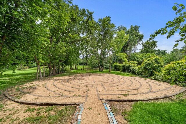 1005 Bingham St Unit 5, Houston, TX 77007 - view of yard with view of scattered trees