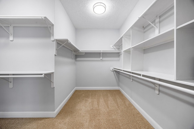 427 Crestwater Trl, Houston, TX 77082 - spacious closet featuring light colored carpet
