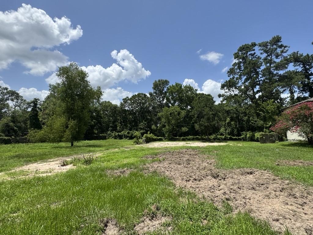 206 Sherbrook Cir, Conroe, TX 77385 - photo 2