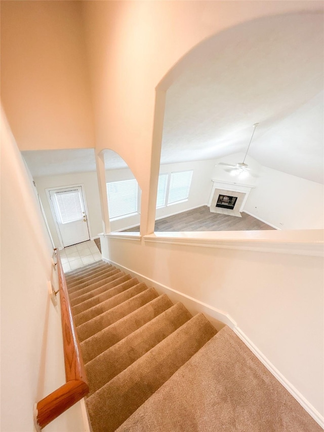 22 English Lavender Pl, The Woodlands, TX 77382 - photo 39