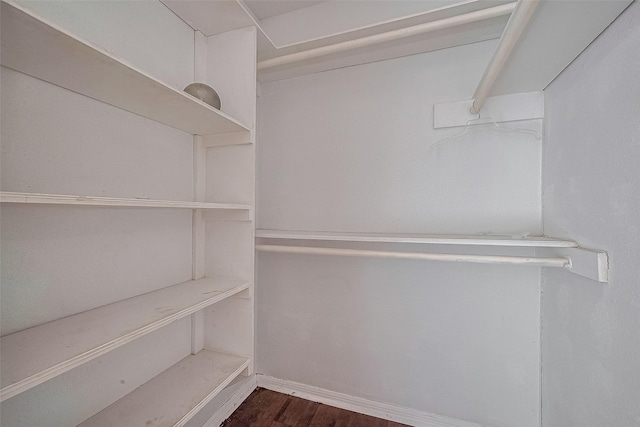 11280 Braes Forest Dr Unit 105, Houston, TX 77071 - walk in closet with dark wood-type flooring