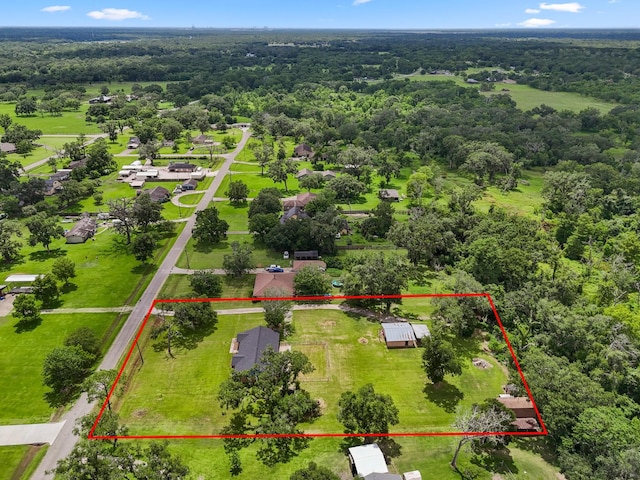 4432 County Road 886, Brazoria, TX 77422 - aerial view of property's location with property parcel outlined and a heavily wooded area