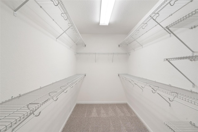 38 Tallgrass Way, Spring, TX 77389 - walk in closet featuring light colored carpet