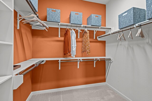 10502 William Park Dr, Missouri City, TX 77459 - spacious closet with carpet floors
