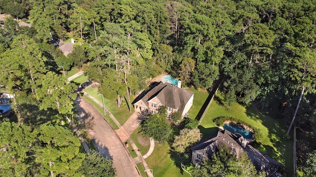 13810 Lakewood Crossing Blvd, Houston, TX 77070 - bird's eye view of a forest