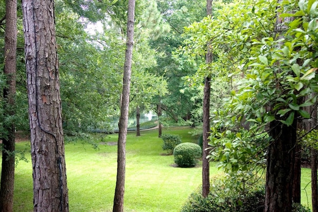 318 Litchfield Ln, Houston, TX 77024 - photo 24