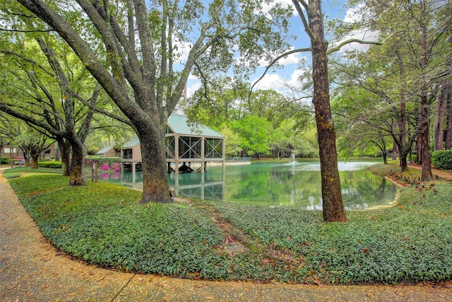 318 Litchfield Ln, Houston, TX 77024 - photo 8