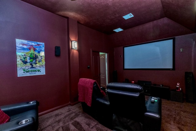 407 Pickney Ave, Sugar Land, TX 77479 - view of carpeted cinema