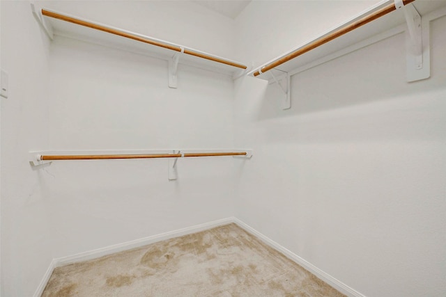 20311 Towering Cypress Dr, Cypress, TX 77433 - spacious closet featuring light colored carpet