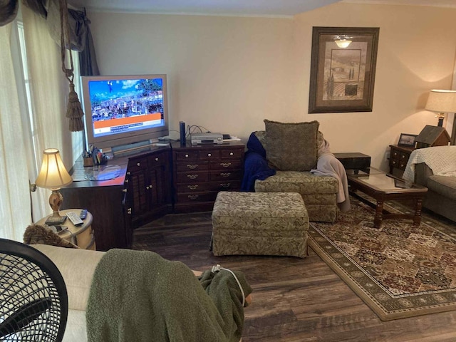 1305 E Goliad Ave, Crockett, TX 75835 - living room with dark wood-type flooring