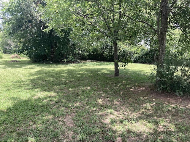 1305 E Goliad Ave, Crockett, TX 75835 - view of green lawn