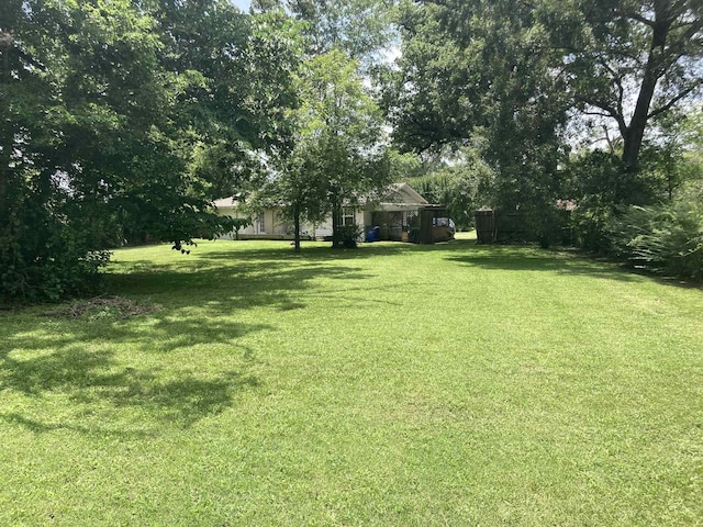 1305 E Goliad Ave, Crockett, TX 75835 - view of green lawn