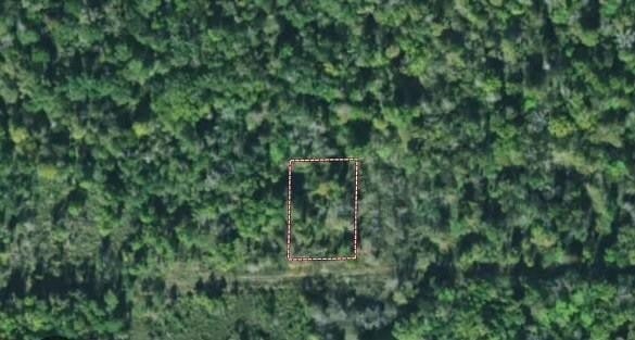 0 County Road 2522, Dayton, TX 77535 - photo 2