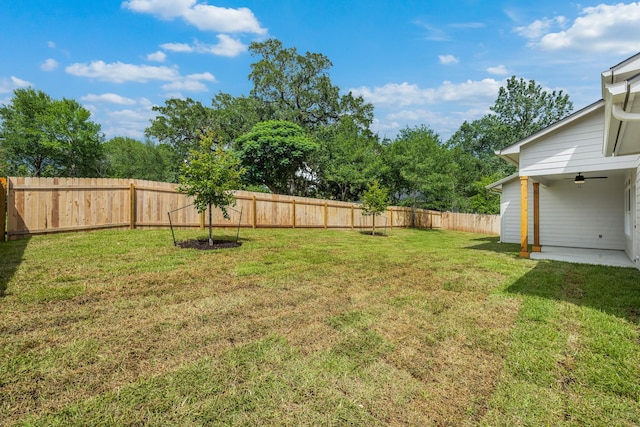 271 S College St, La Grange, TX 78945 - photo 25