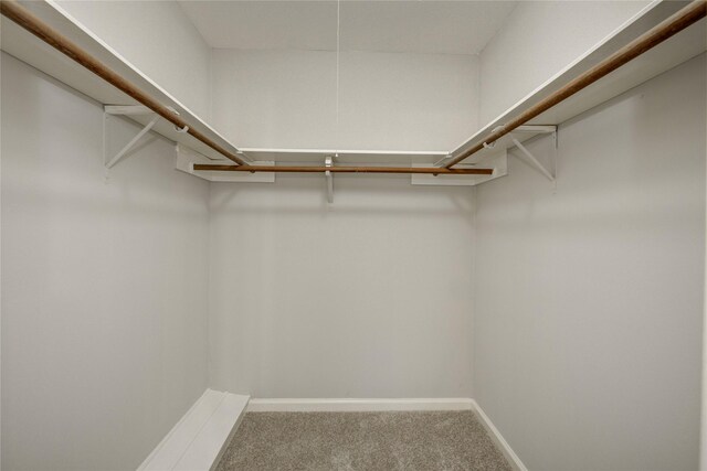 5330 Boyce Springs Dr, Houston, TX 77066 - walk in closet with carpet