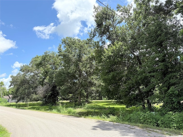 416 N Tinsley St, Angleton, TX 77515 - photo 12