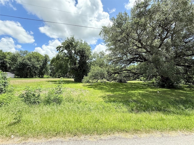 416 N Tinsley St, Angleton, TX 77515 - photo 14