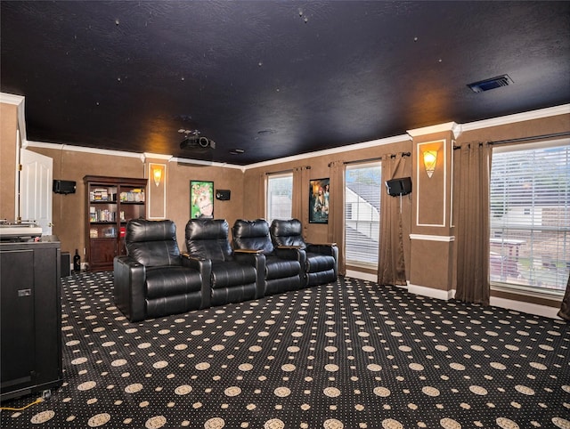 1201 Coryell St, League City, TX 77573 - cinema featuring ornamental molding and carpet floors