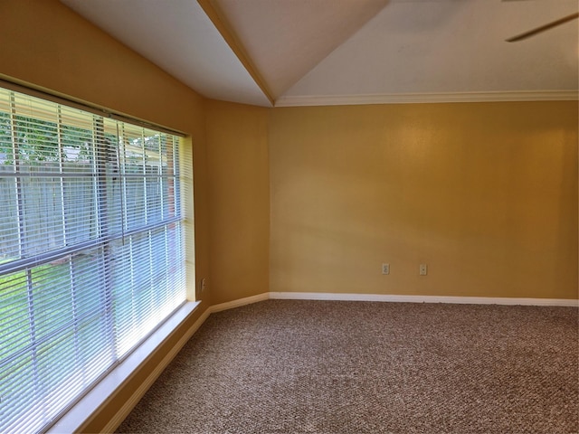 14030 Torrey Village Dr, Houston, TX 77014 - photo 21