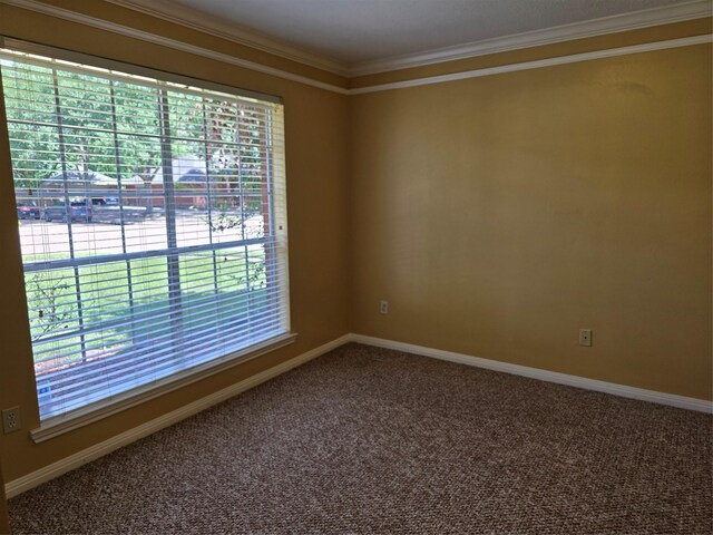 14030 Torrey Village Dr, Houston, TX 77014 - photo 12