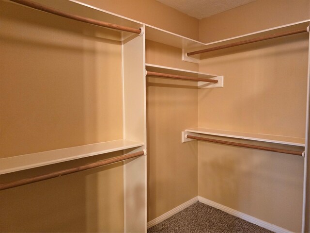 14030 Torrey Village Dr, Houston, TX 77014 - photo 26