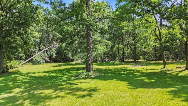38 Darrell White Rd, Huntsville, TX 77340 - view of green lawn
