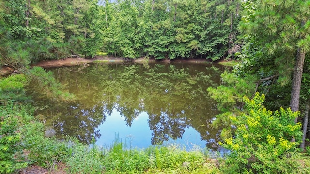 38 Darrell White Rd, Huntsville, TX 77340 - water view
