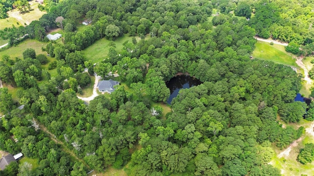38 Darrell White Rd, Huntsville, TX 77340 - aerial view of property's location featuring a heavily wooded area