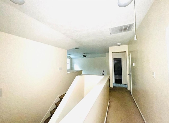 8006 Echinacea Dr, Baytown, TX 77521 - photo 7