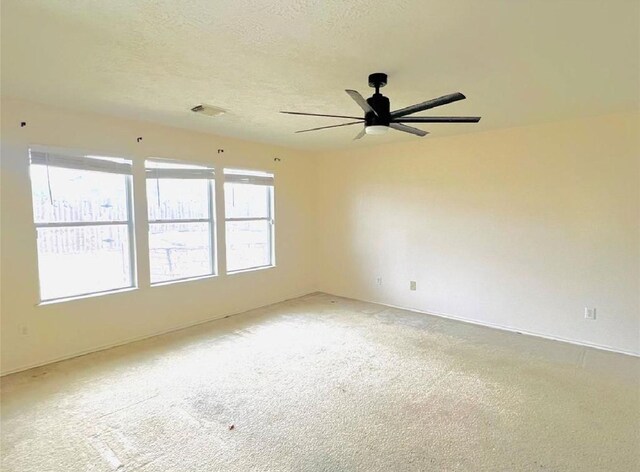 8006 Echinacea Dr, Baytown, TX 77521 - photo 8