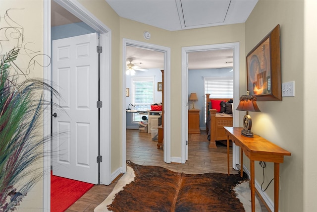 80 Indian Hbr, Trinity, TX 75862 - hall featuring wood finished floors and plenty of natural light