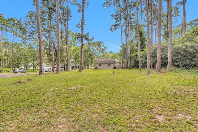 80 Indian Hbr, Trinity, TX 75862 - view of green lawn