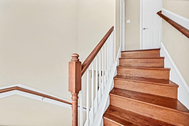 5206 Petty St, Houston, TX 77007 - photo 24