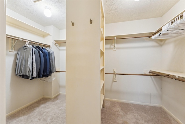 12823 Birch Falls Rd, Houston, TX 77065 - spacious closet with carpet floors