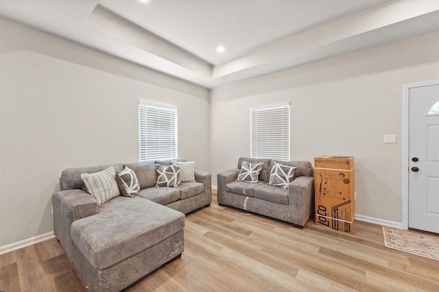 1026 Theresa St, Houston, TX 77051 - living room featuring light wood-style floors, a tray ceiling, recessed lighting, and plenty of natural light