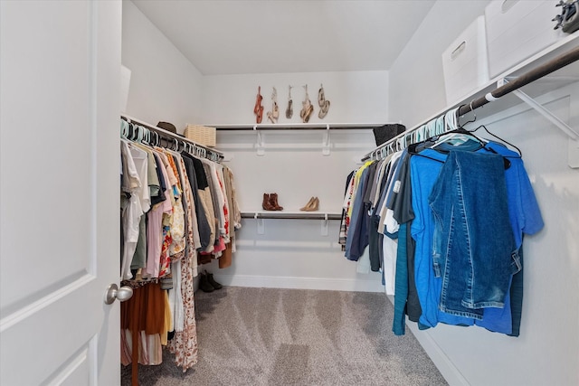 10059 Preserve Way, Conroe, TX 77385 - spacious closet featuring carpet