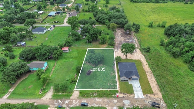 605 Lily St, Waller, TX 77484
