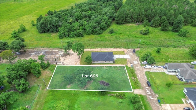 605 Lily St, Waller, TX 77484