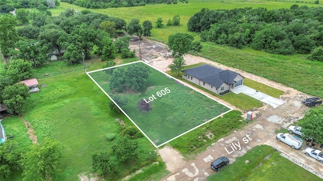 605 Lily St, Waller, TX 77484